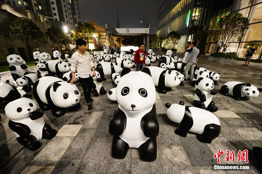 Pandas erobern Shanghai
