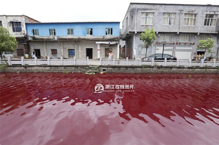 ?Blutfluss“ in Zhejiang