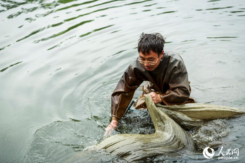 In der einen Hand einen gro?en Beutel, in der anderen ein Netz und zum Schutz vor dem Wasser einen überzug aus Gummi. So sehen die ?Wurmfischer“ aus, die entlang der Flussufer in Beijings Vororten auf Würmerjagd gehen. Der 45-j?hrige Dong ist einer von ihnen.