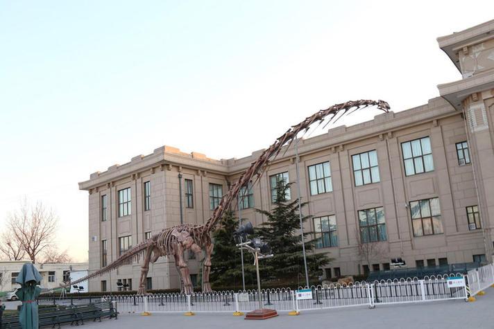 Gr??ter Dinosaurier der Welt in Beijing