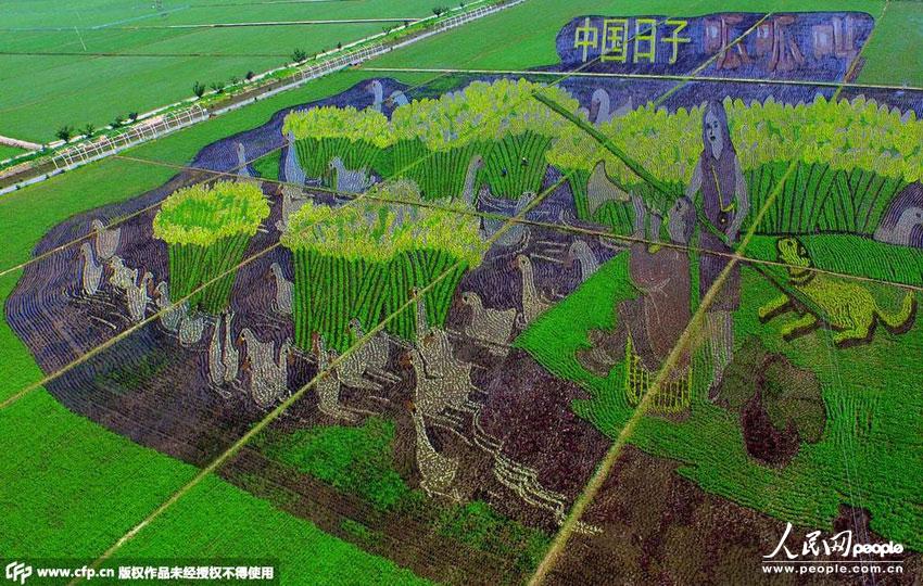 Die ?3D-Reisfelder“ des Volkes Xibo in Shenyang