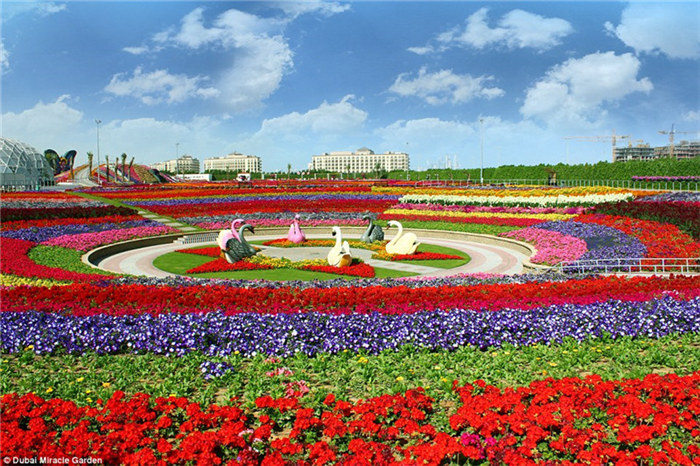 Weltweit gr??te Blumenausstellung in Dubai