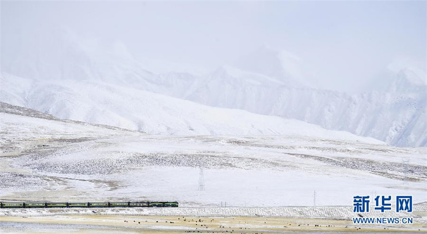 Acht Symbole der 50-j?hrigen Verkehrsentwicklung von Tibet