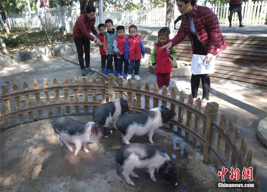 Zoo im Kindergarten