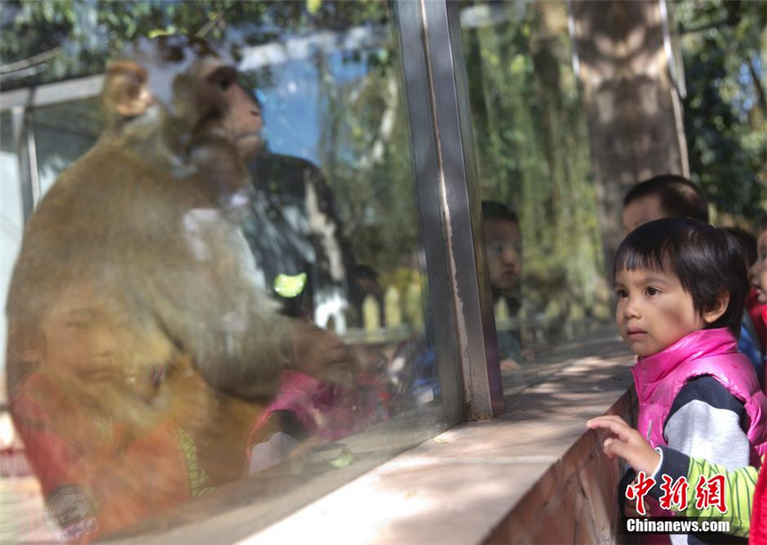 Zoo im Kindergarten