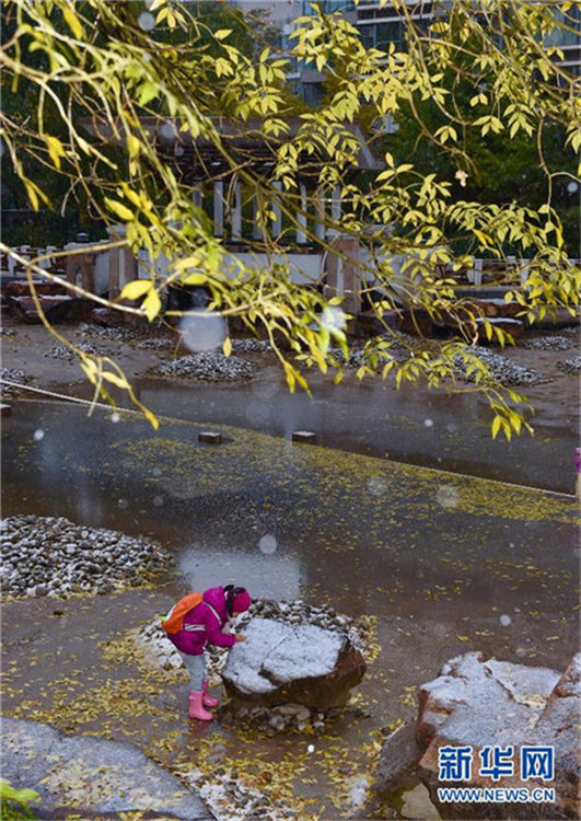 Erster Schnee 2015 in Beijing