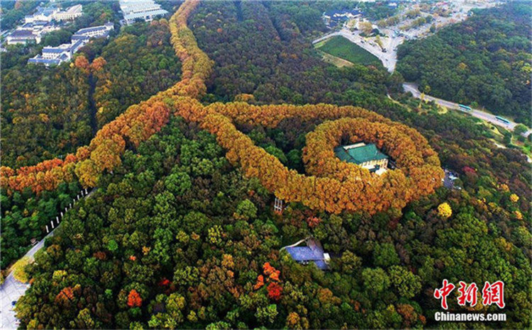Die ?goldene Halskette“ von Nanjing