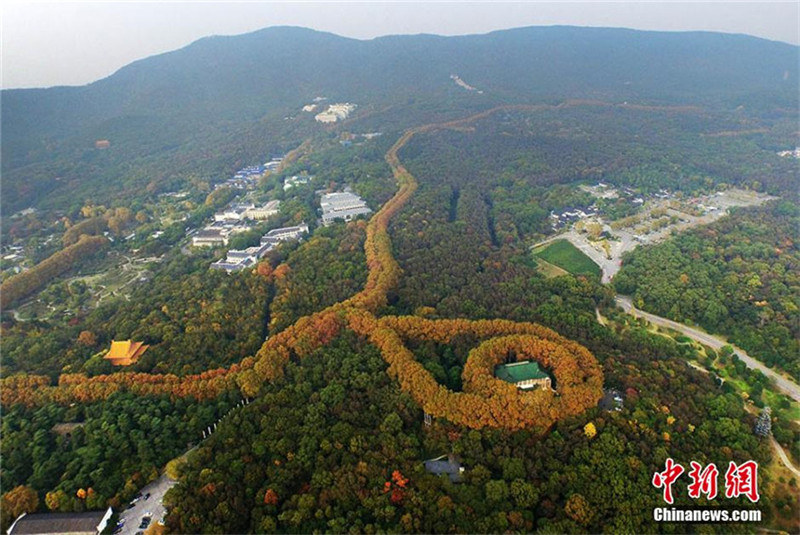 Die ?goldene Halskette“ von Nanjing