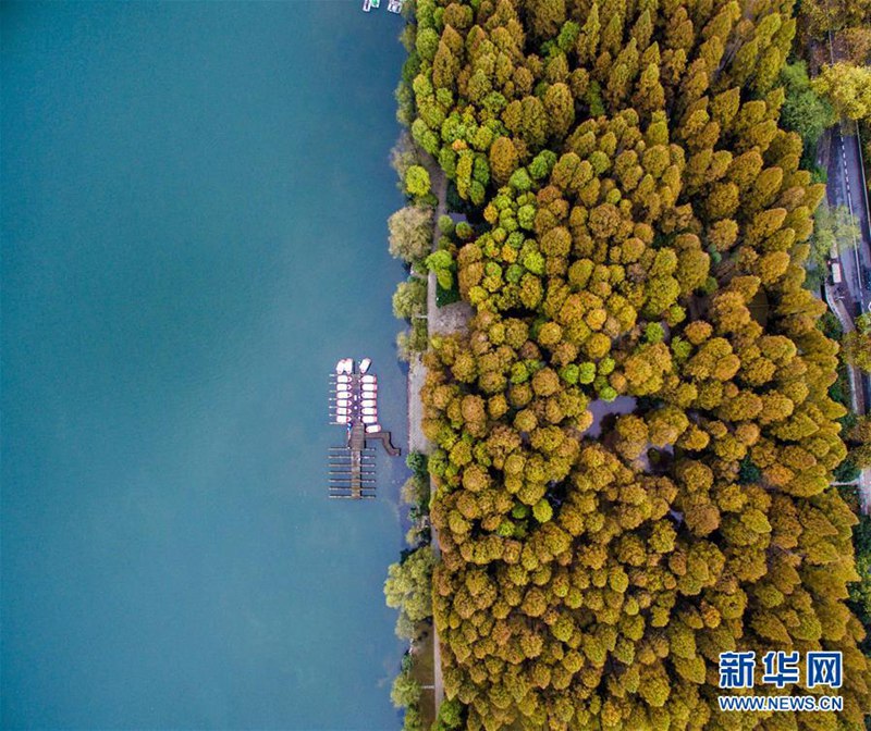 Farbiger Sp?therbst in Hangzhou 