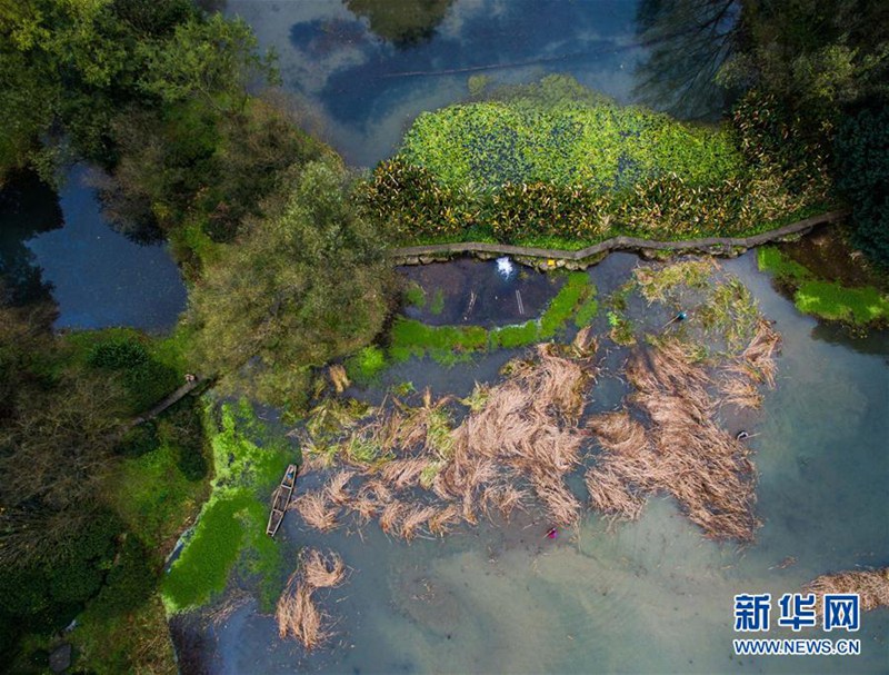 Farbiger Sp?therbst in Hangzhou 