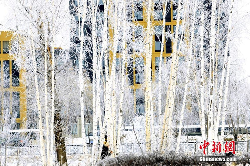 Frostiges Naturschauspiel in Jilin