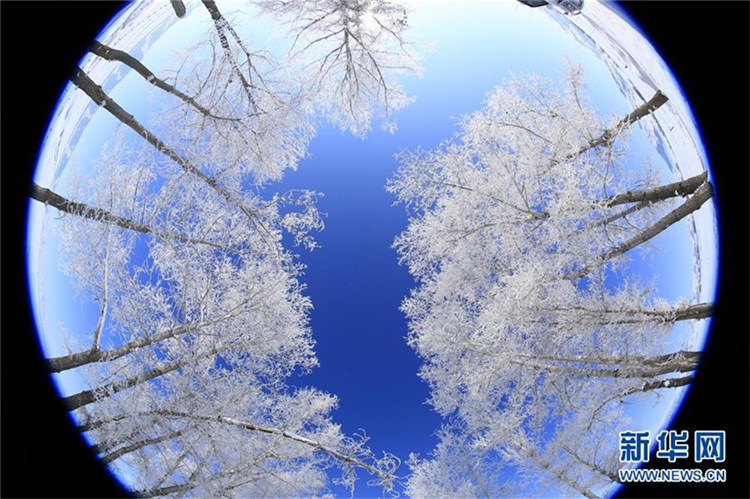 Frostiges Naturschauspiel in Xinjiang