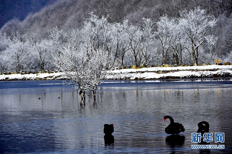 Der Dajiu-See-Park tr?gt Wintergewand