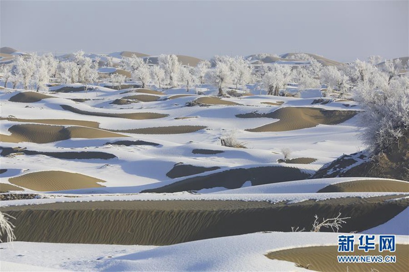 Frostiges Naturschauspiel an der ?See des Todes“ 
