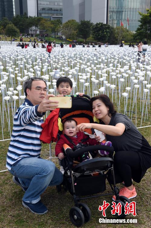 Hongkong: 25.000 rosef?rmige Lampen zum Valentinstag