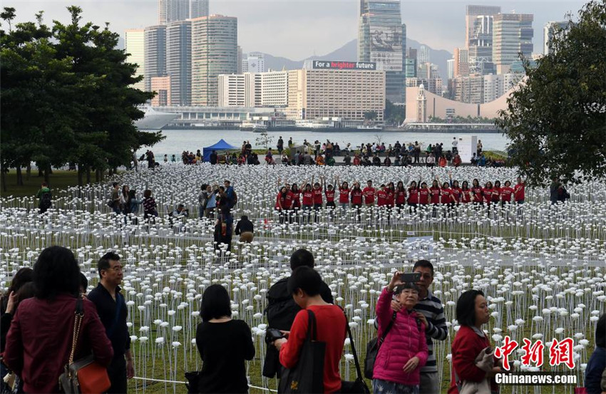 Hongkong: 25.000 rosef?rmige Lampen zum Valentinstag