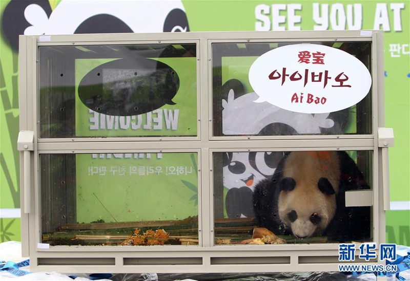 Chinesisches Panda-P?rchen erreicht Südkorea