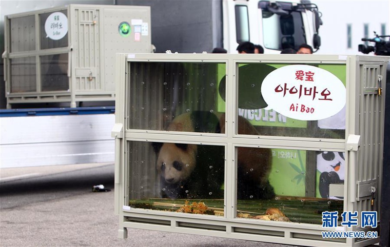 Chinesisches Panda-P?rchen erreicht Südkorea