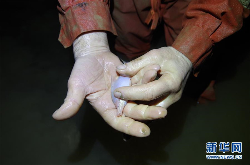 420 Meter tiefe unterirdische H?hle in Guangxi durch China und Frankreich entdeckt