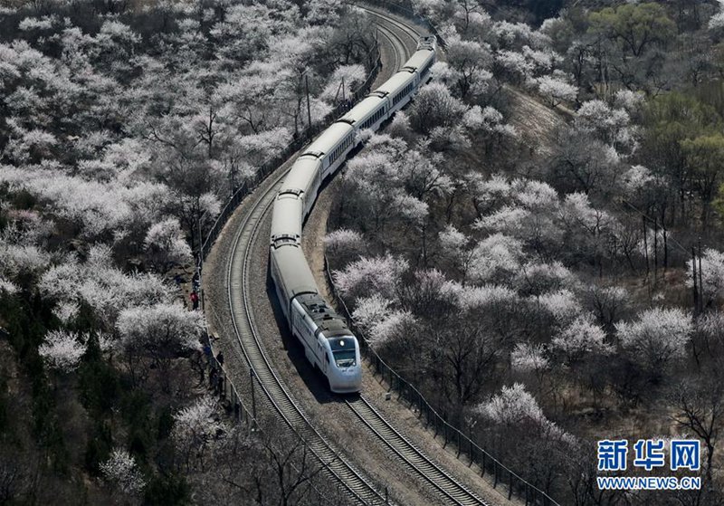 Der Frühling h?lt Einzug in Beijing 