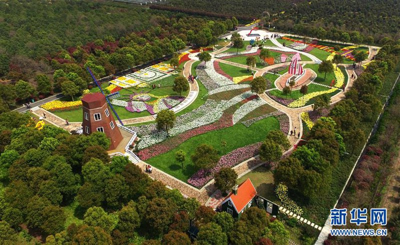 Tulpenmeer in Wuhan