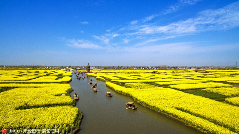 Rapsblütenmeer in Xinghua