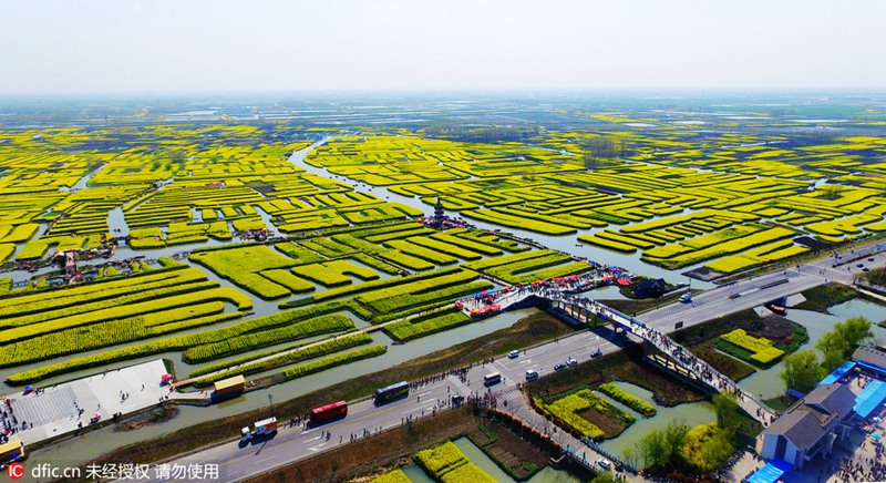 Rapsblütenmeer in Xinghua