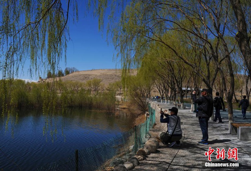 Jiayuguan im Frühling