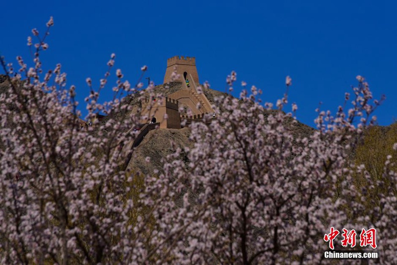 Jiayuguan im Frühling