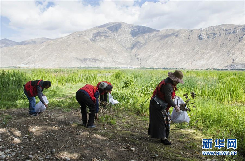 Weltumwelttag: Freiwillige reinigen Tibet von Abf?llen