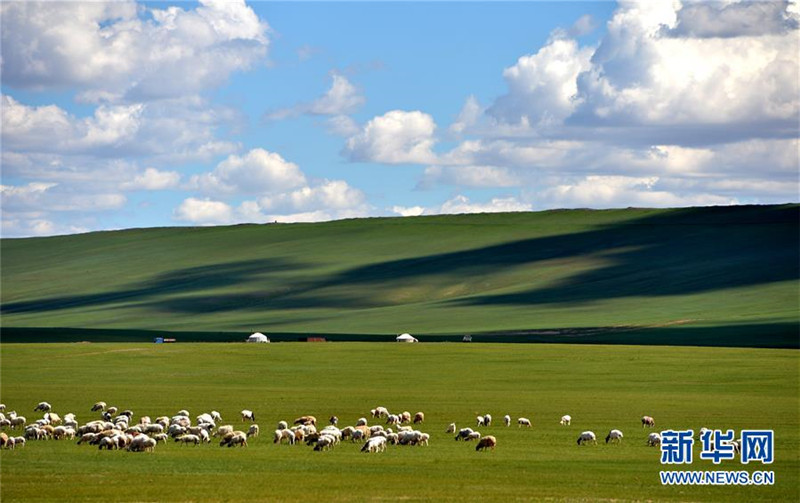 Die Sch?nheit des Graslands von Xilingol