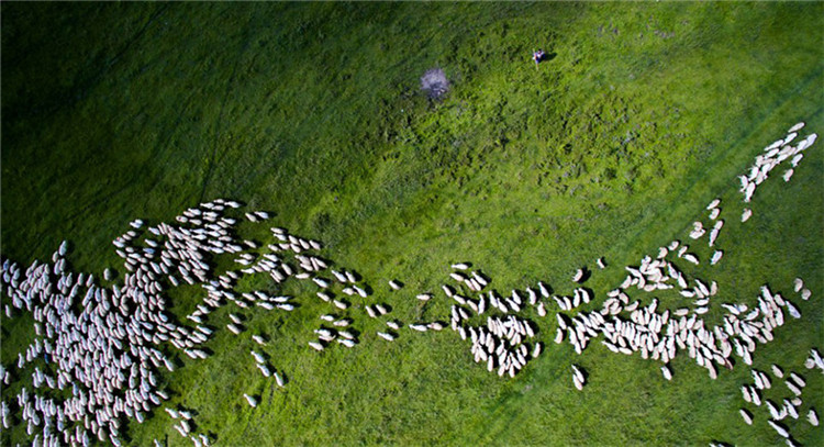 Preistr?ger des UAV-Fotowettbewerbs 2016