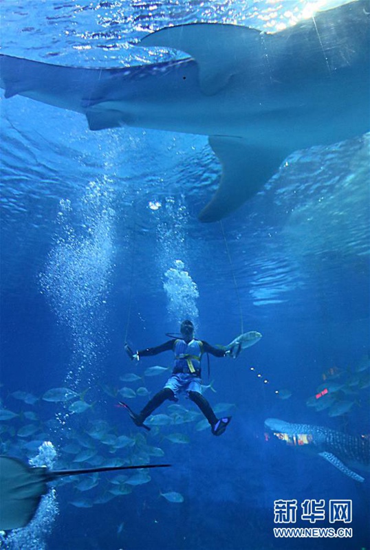 ?Olympische Unterwasser-Spiele“ in Yantai