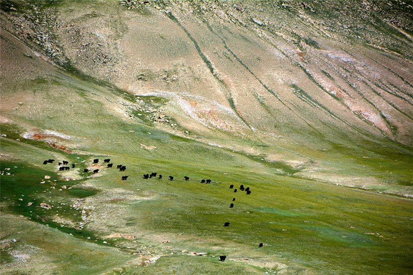 Das Naturschutzgebiet auf dem Altun-Berg