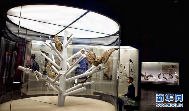 Erstes Museum der Naturwissenschaften in Tibet