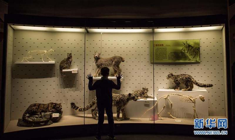 Erstes Museum der Naturwissenschaften in Tibet