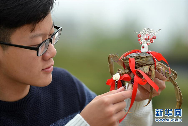 Crabwalk statt Catwalk in Jiangsu
