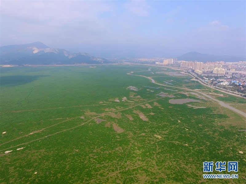 Gr??ter Sü?wassersee Chinas vergrast