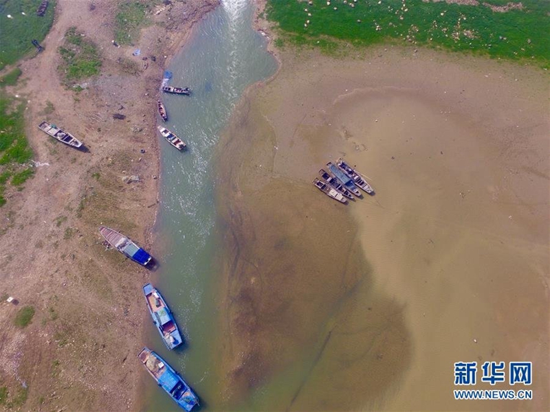 Gr??ter Sü?wassersee Chinas vergrast