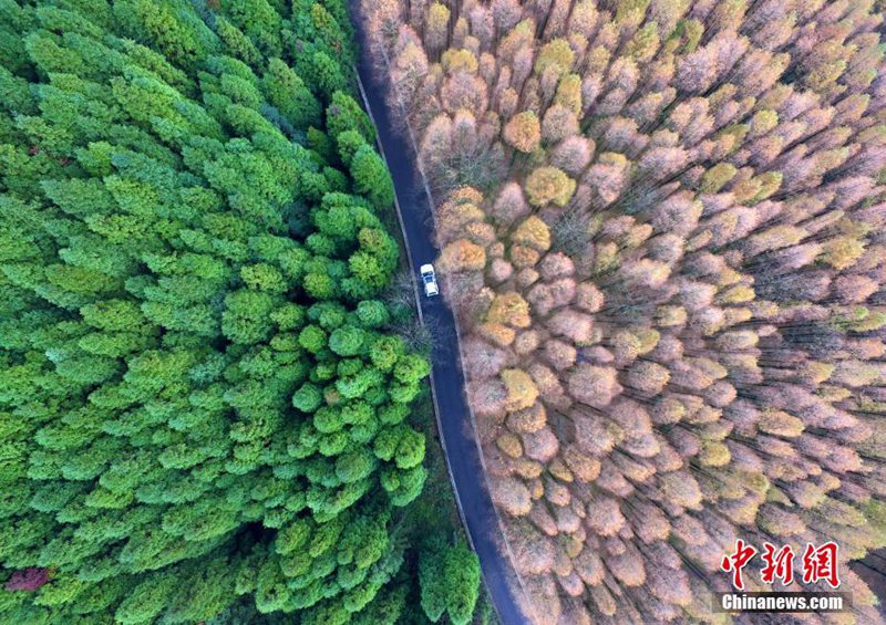 Nationaler ?kologischer Karst-Park aus der Vogelperspektive
