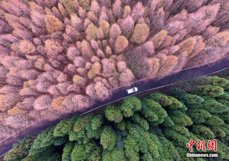 Nationaler ?kologischer Karst-Park aus der Vogelperspektive