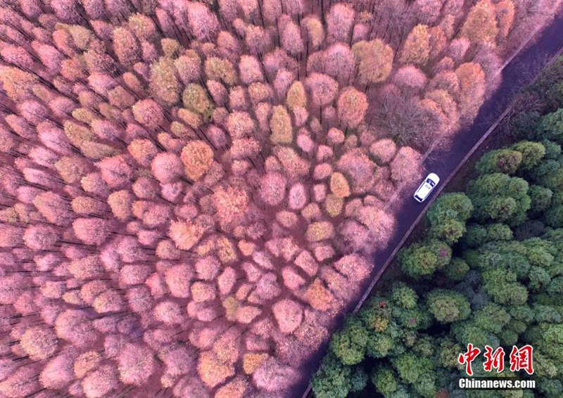 Nationaler ?kologischer Karst-Park aus der Vogelperspektive