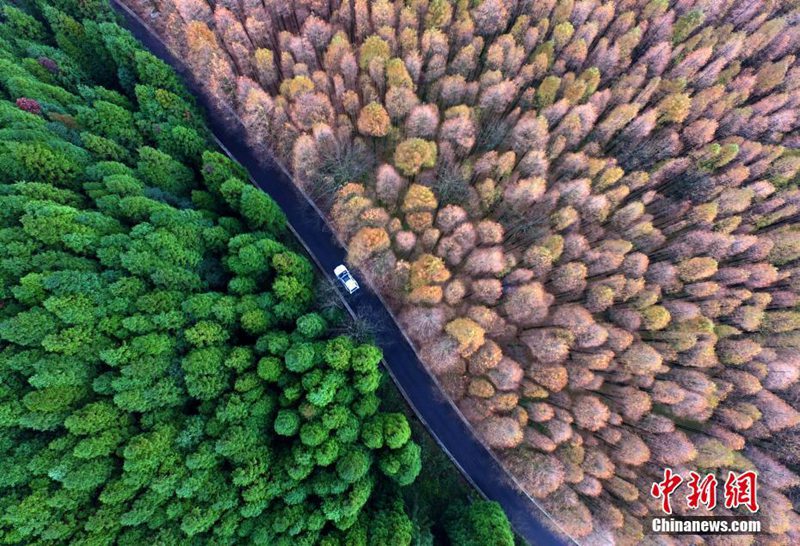 Nationaler ?kologischer Karst-Park aus der Vogelperspektive