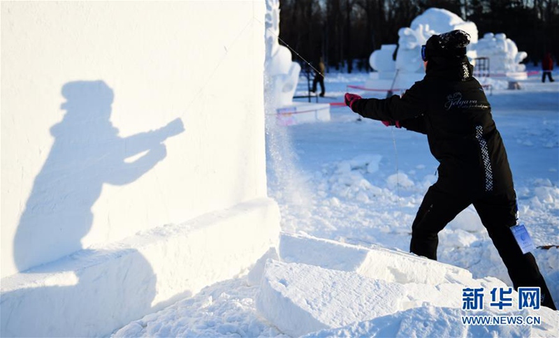 Internationaler Schneeskulpturen-Wettbewerb in Harbin er?ffnet