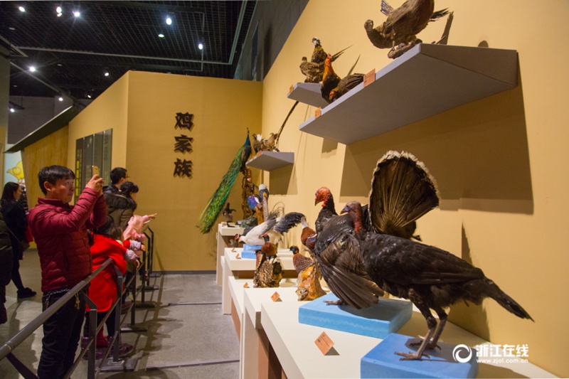 Hahn-Ausstellung in Zhejiang