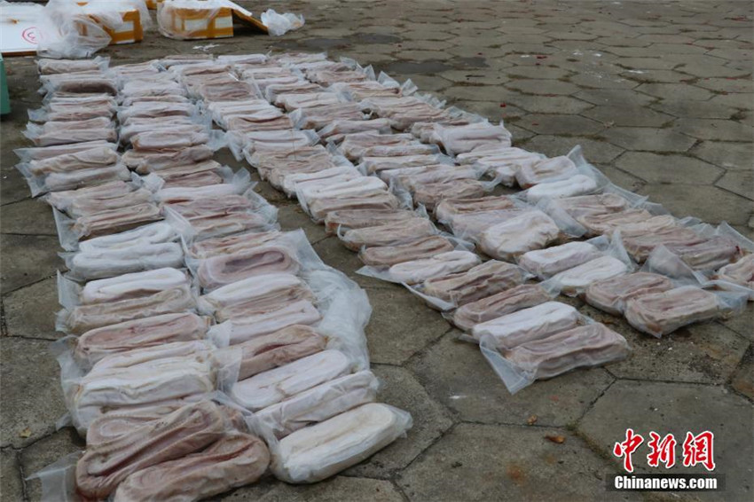 1.609 Krokodilh?ute in Guangxi beschlagnahmt