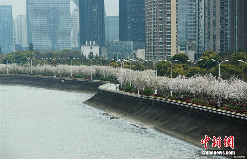 Chinas sch?nster Laufweg am Qiantang-Fluss
