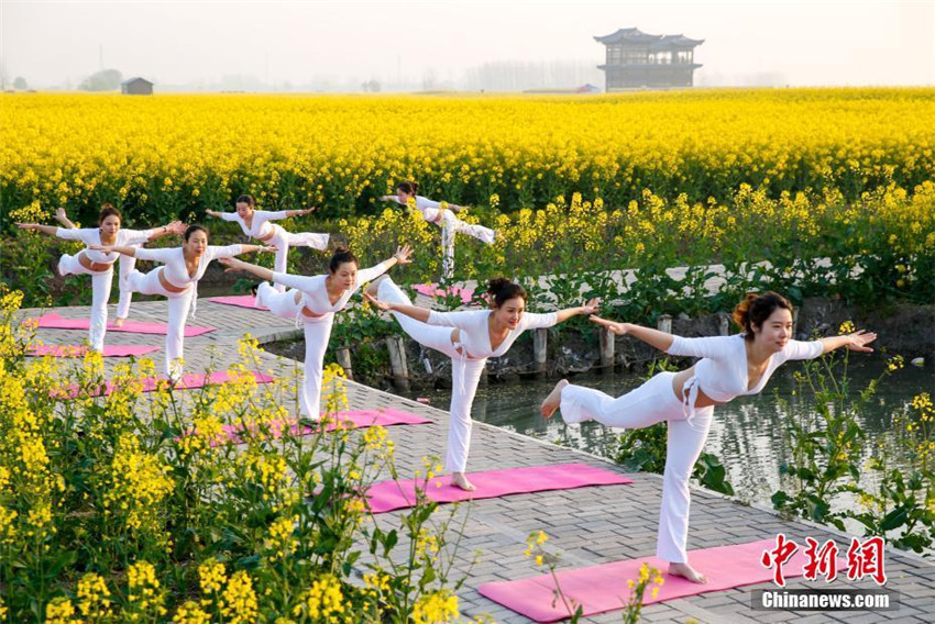 Yoga im Rapsblütenmeer