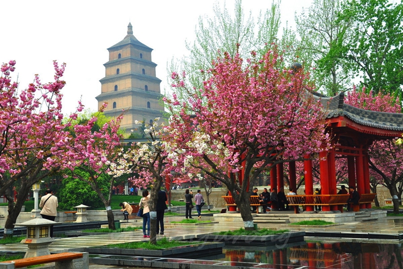 Das beliebste Reiseziel in Xi’an: die Gro?e Wildganspagode