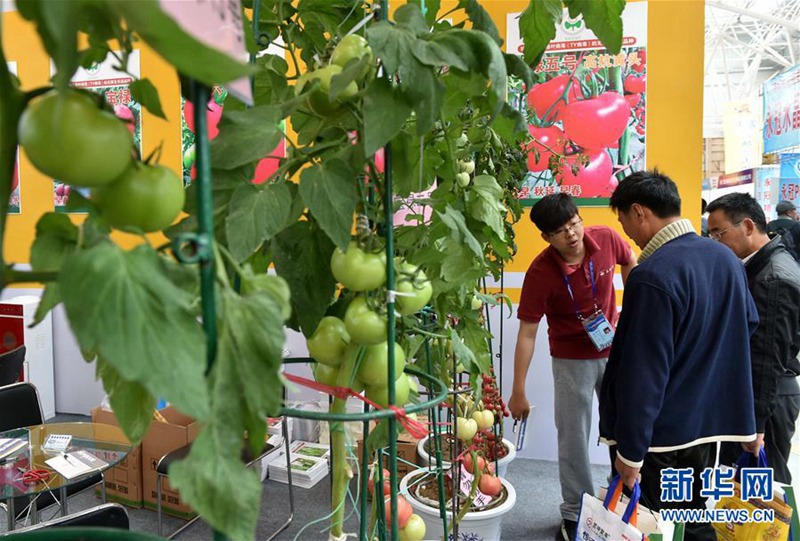 18. Internationale Chinesische Gemüse-Technikmesse er?ffnet